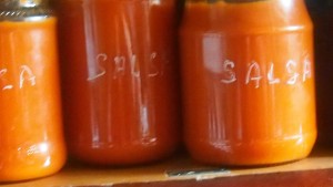 salsa.jpg